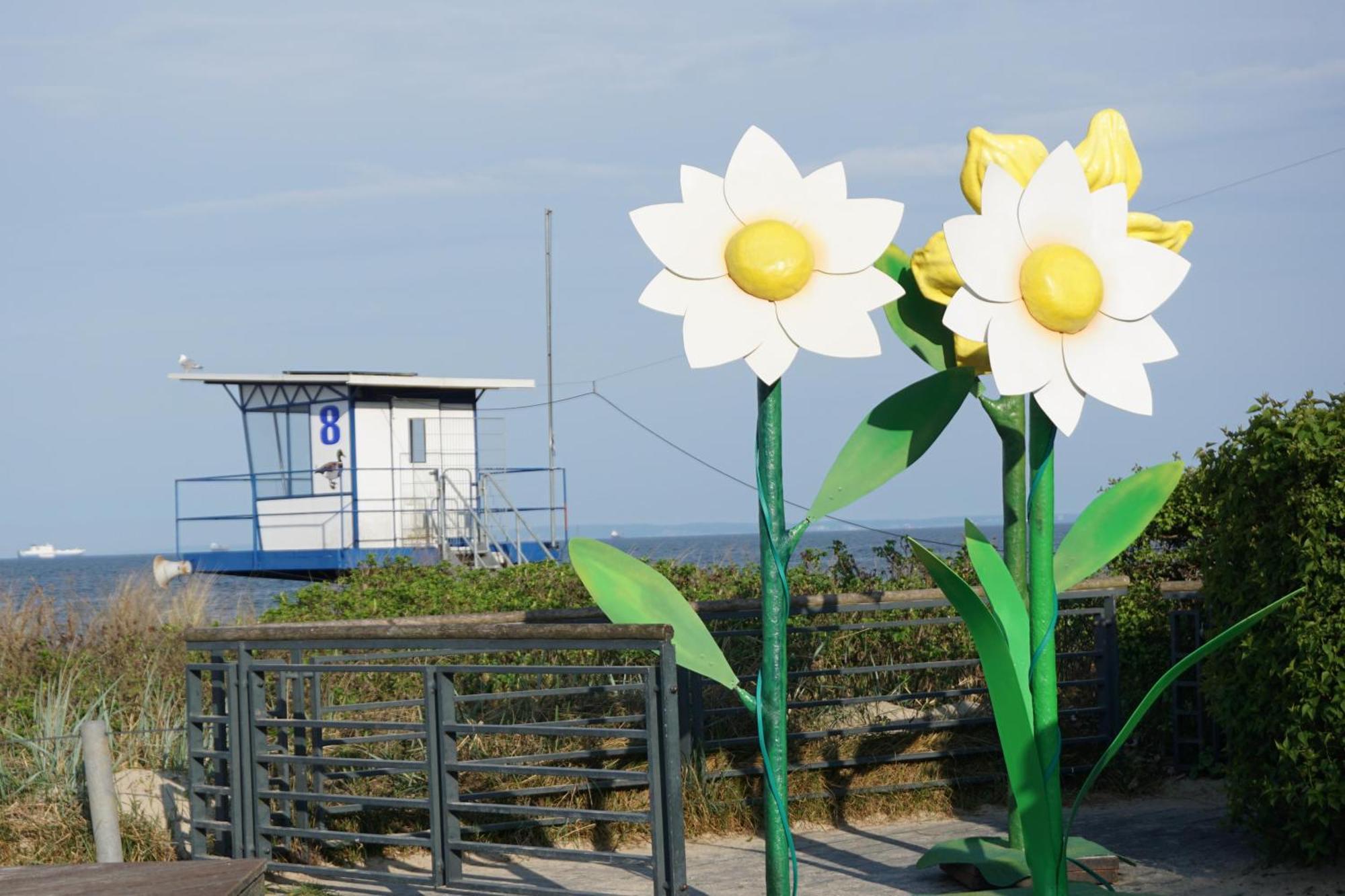 Strandoase - Fewo 21 Heringsdorf  Exteriér fotografie